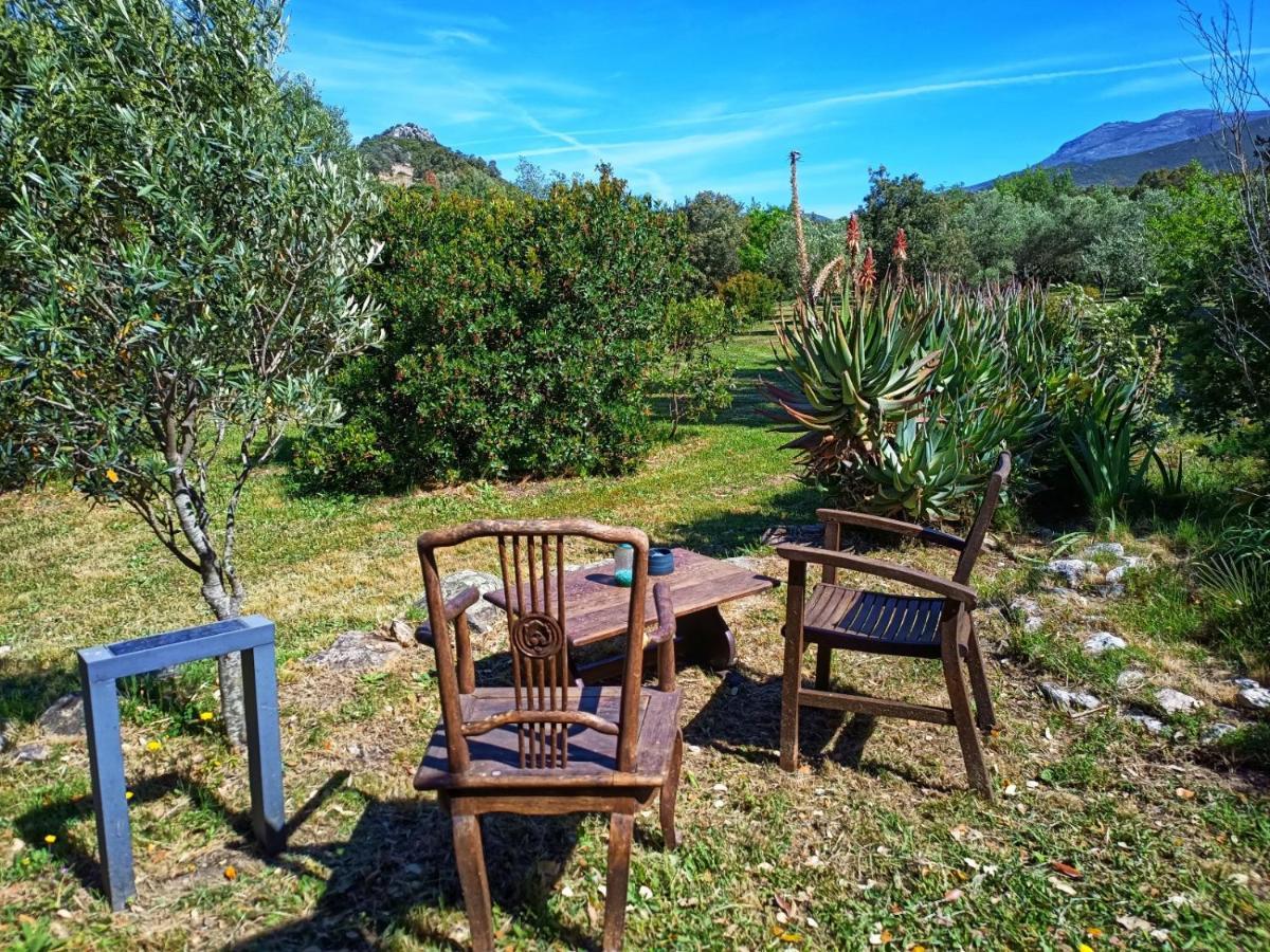 Les Jardins De Foata Villa Barbaggio Екстериор снимка
