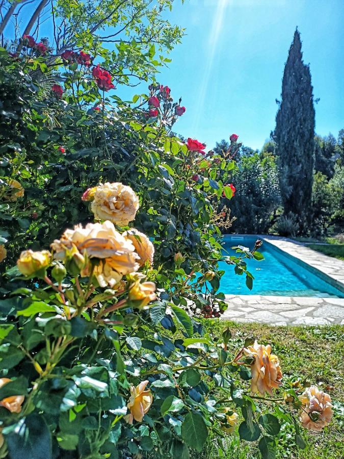 Les Jardins De Foata Villa Barbaggio Екстериор снимка