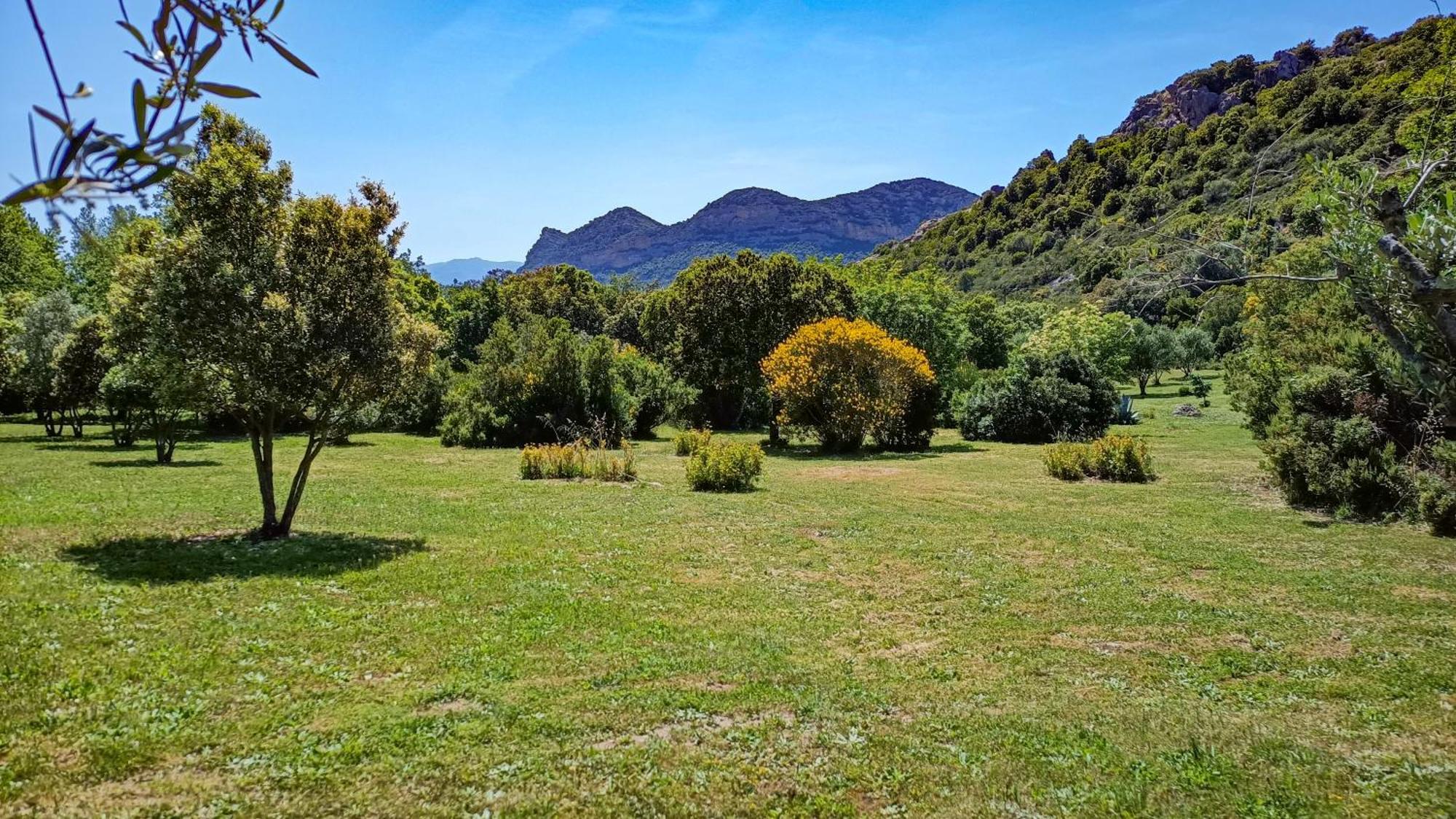 Les Jardins De Foata Villa Barbaggio Екстериор снимка