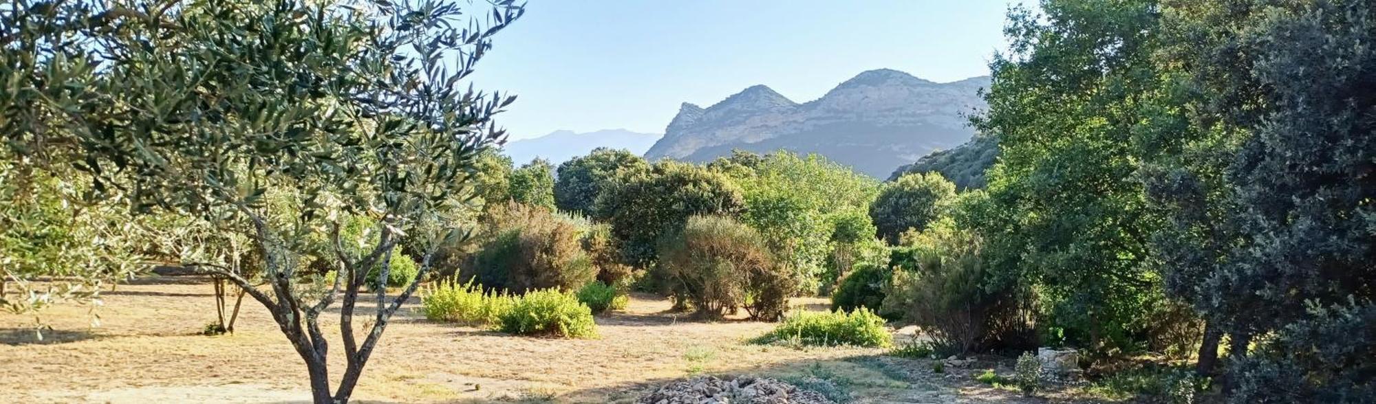 Les Jardins De Foata Villa Barbaggio Екстериор снимка