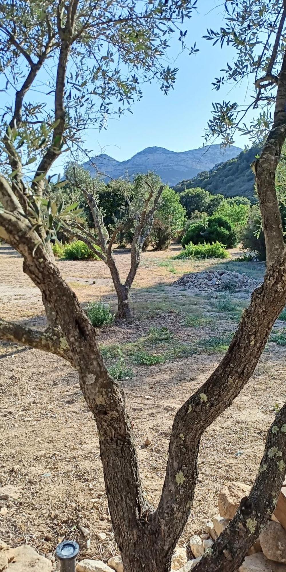 Les Jardins De Foata Villa Barbaggio Екстериор снимка