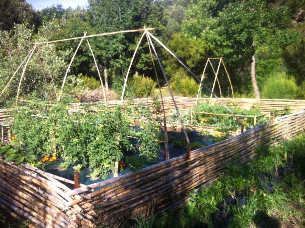Les Jardins De Foata Villa Barbaggio Екстериор снимка