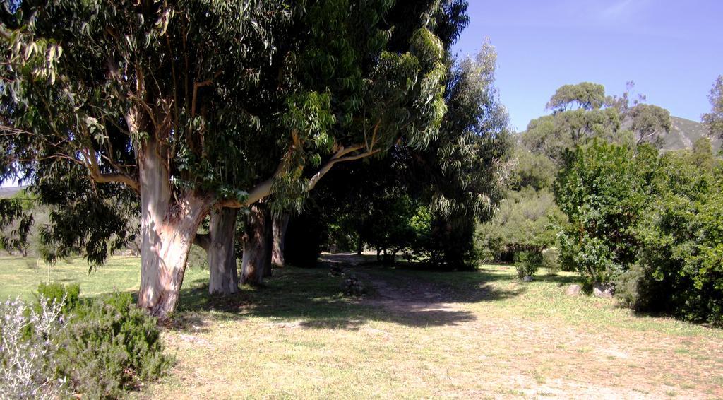Les Jardins De Foata Villa Barbaggio Екстериор снимка