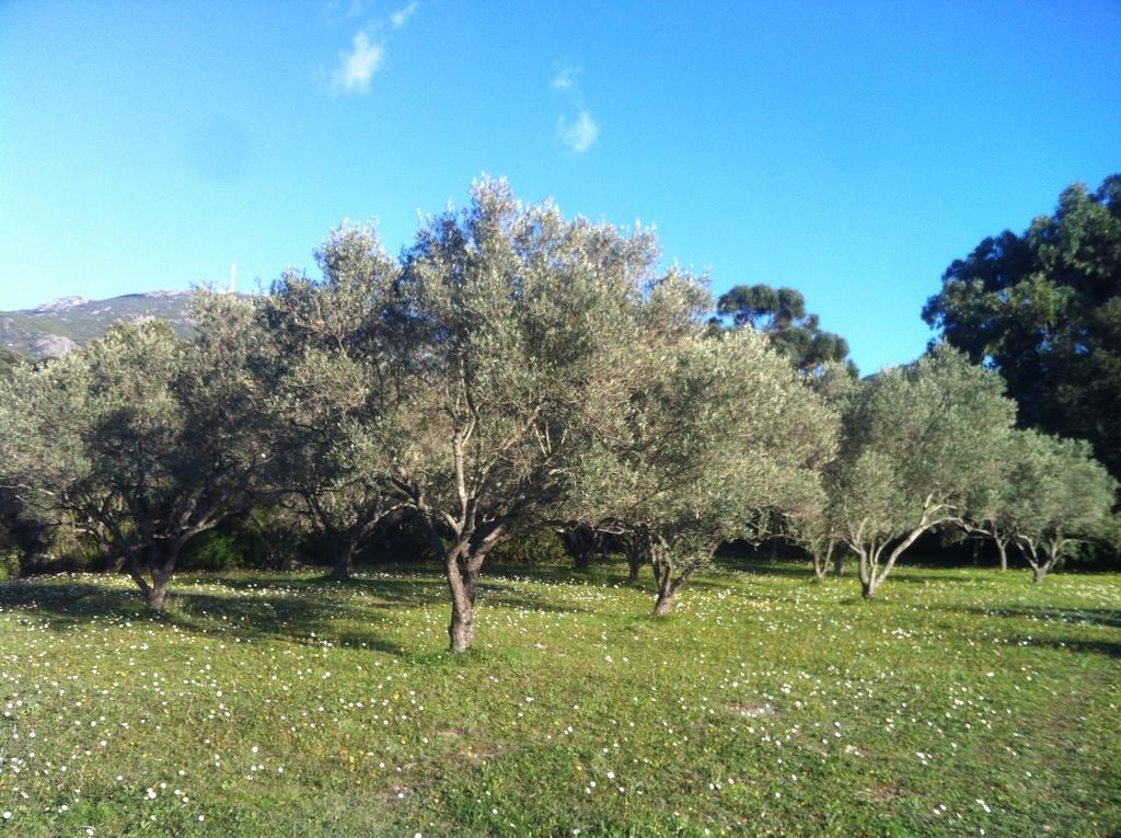 Les Jardins De Foata Villa Barbaggio Екстериор снимка