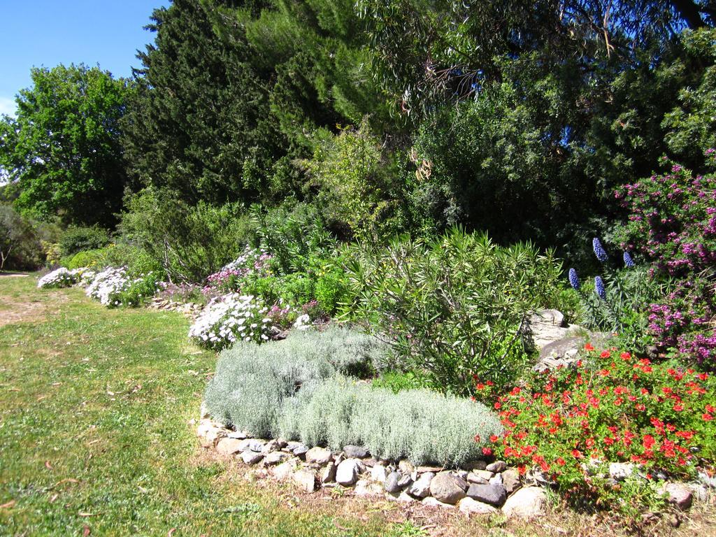 Les Jardins De Foata Villa Barbaggio Екстериор снимка