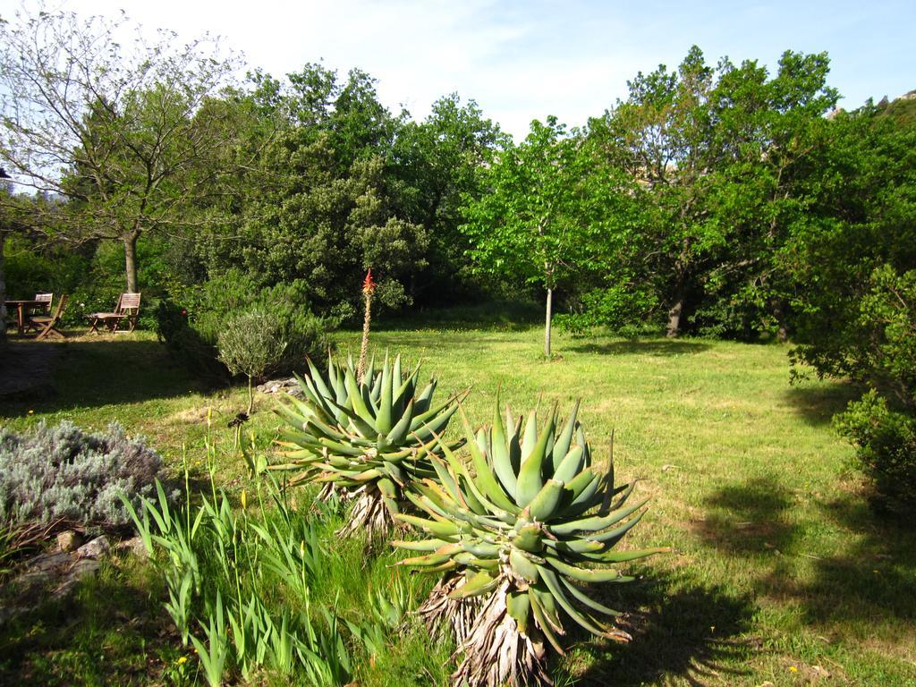 Les Jardins De Foata Villa Barbaggio Екстериор снимка