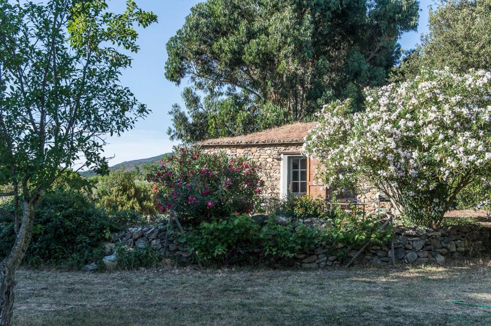 Les Jardins De Foata Villa Barbaggio Екстериор снимка