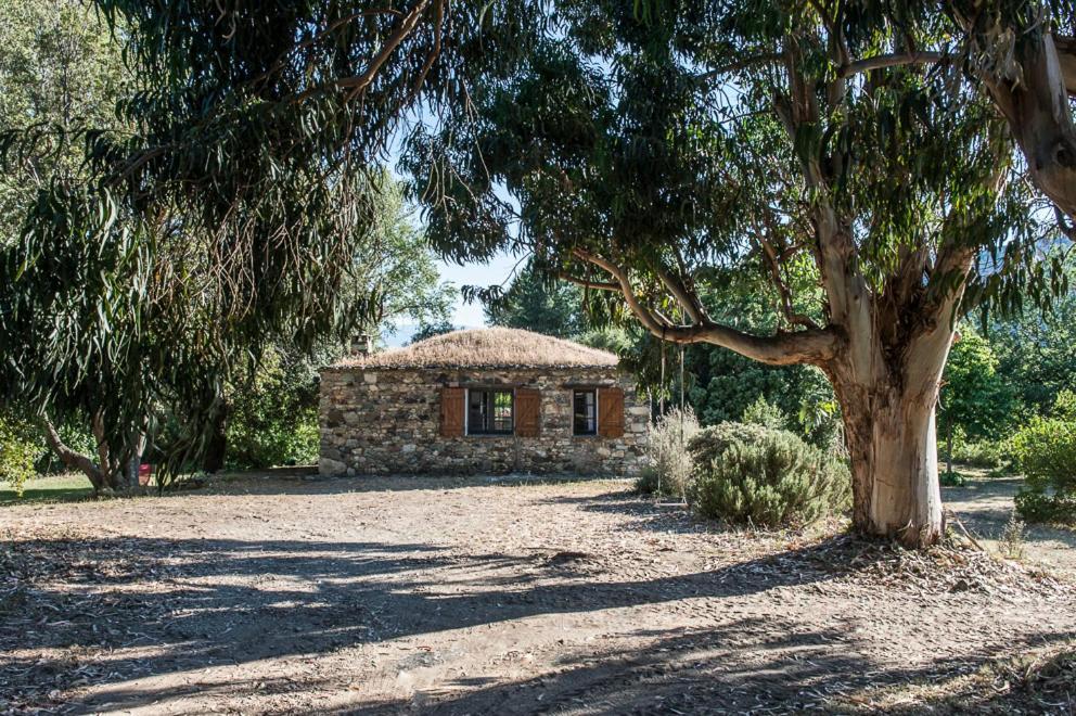 Les Jardins De Foata Villa Barbaggio Екстериор снимка